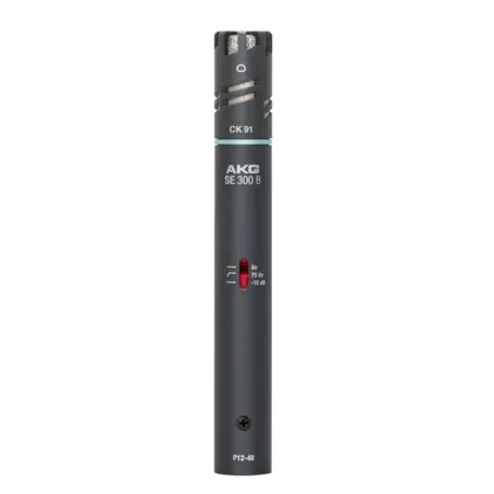 Akg C391B