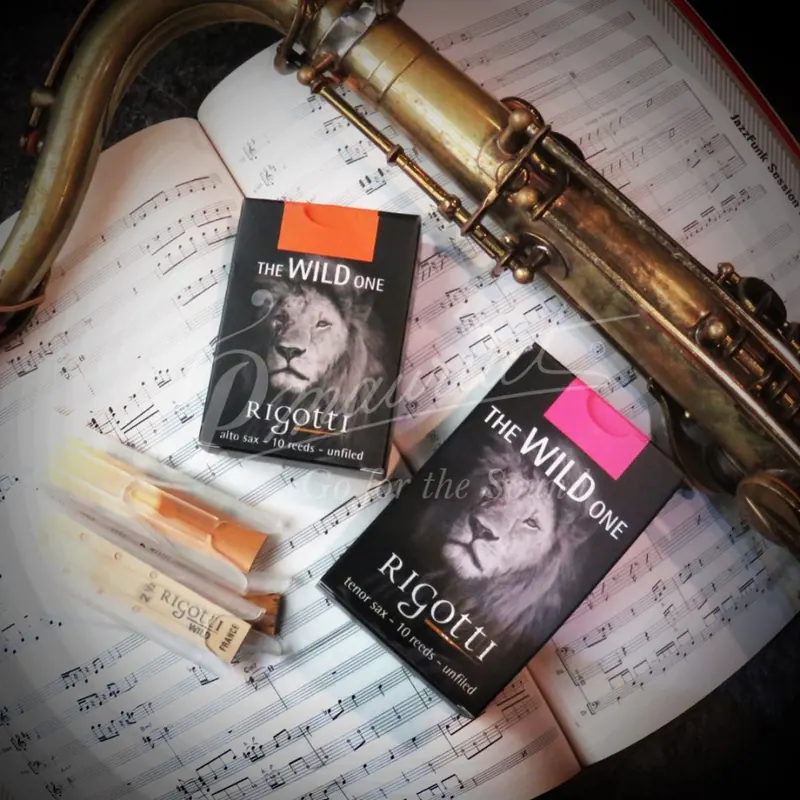 Anches Saxophone Alto The Wild One - Rigotti