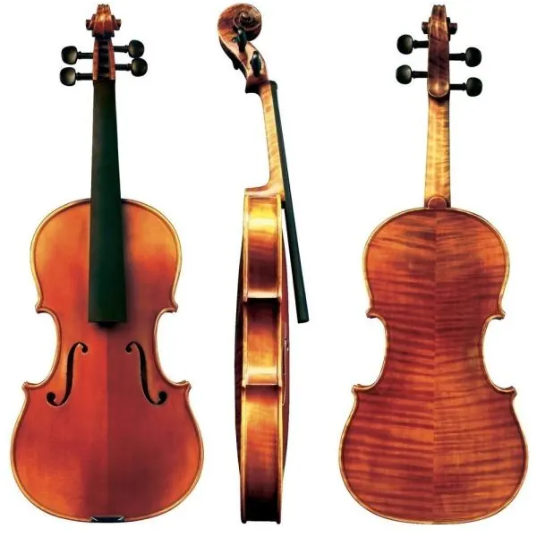 Gewa Maestro 6 4/4 Marron