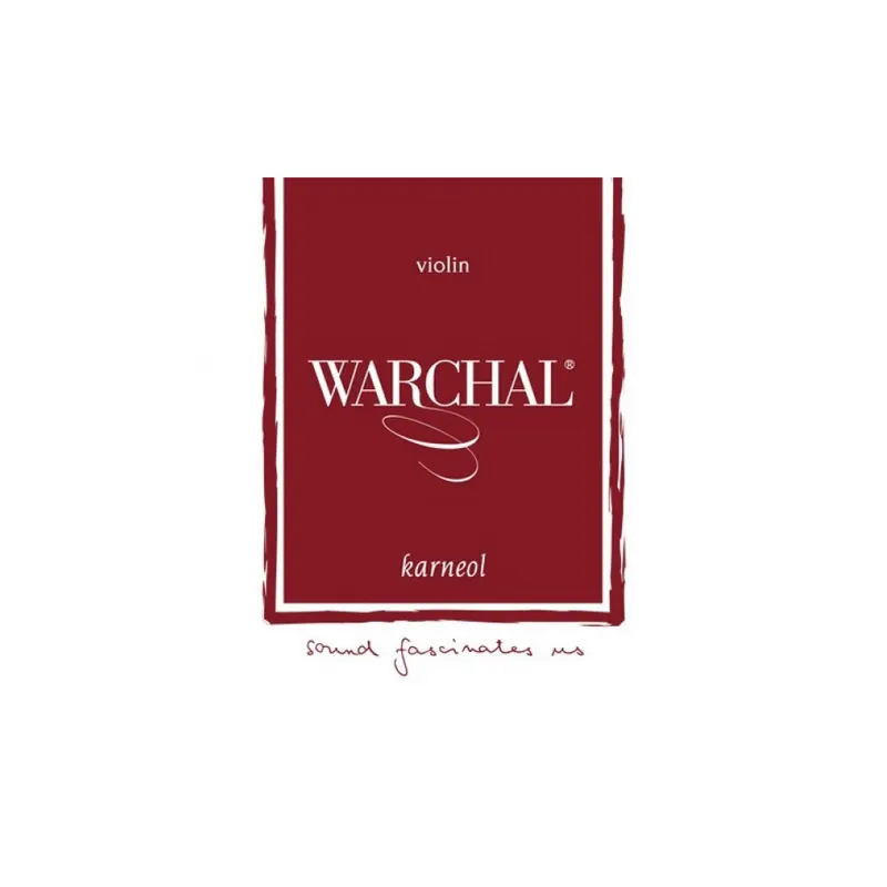 Jeu de 4 cordes Violon Warchal KARNEOL