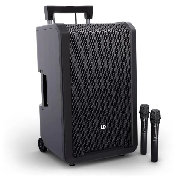 Ld systems ANNY 12 HHD2 B5