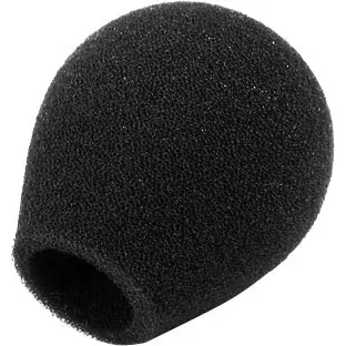 Neumann WNS 100
