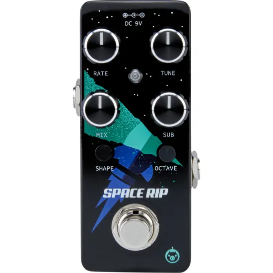 PIGTRONIX Space RIP